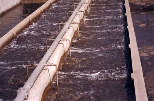 亚洲麻豆精品视频 